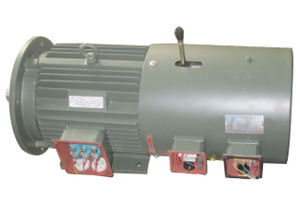 誰見過這種電機(jī),哪個(gè)電機(jī)廠生產(chǎn)